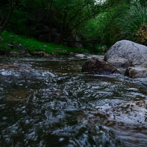 Photo_1613664282676