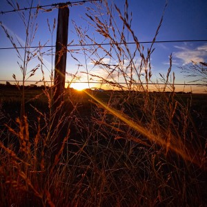 Photo_1622763694785