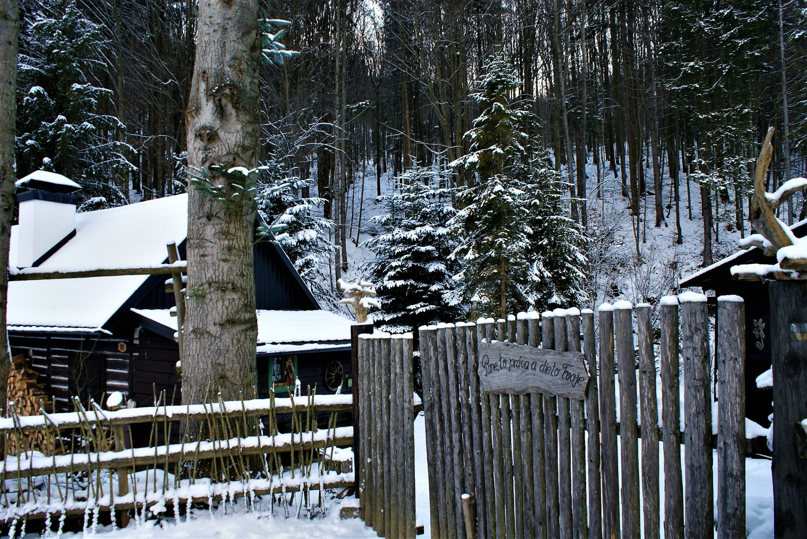 Zima