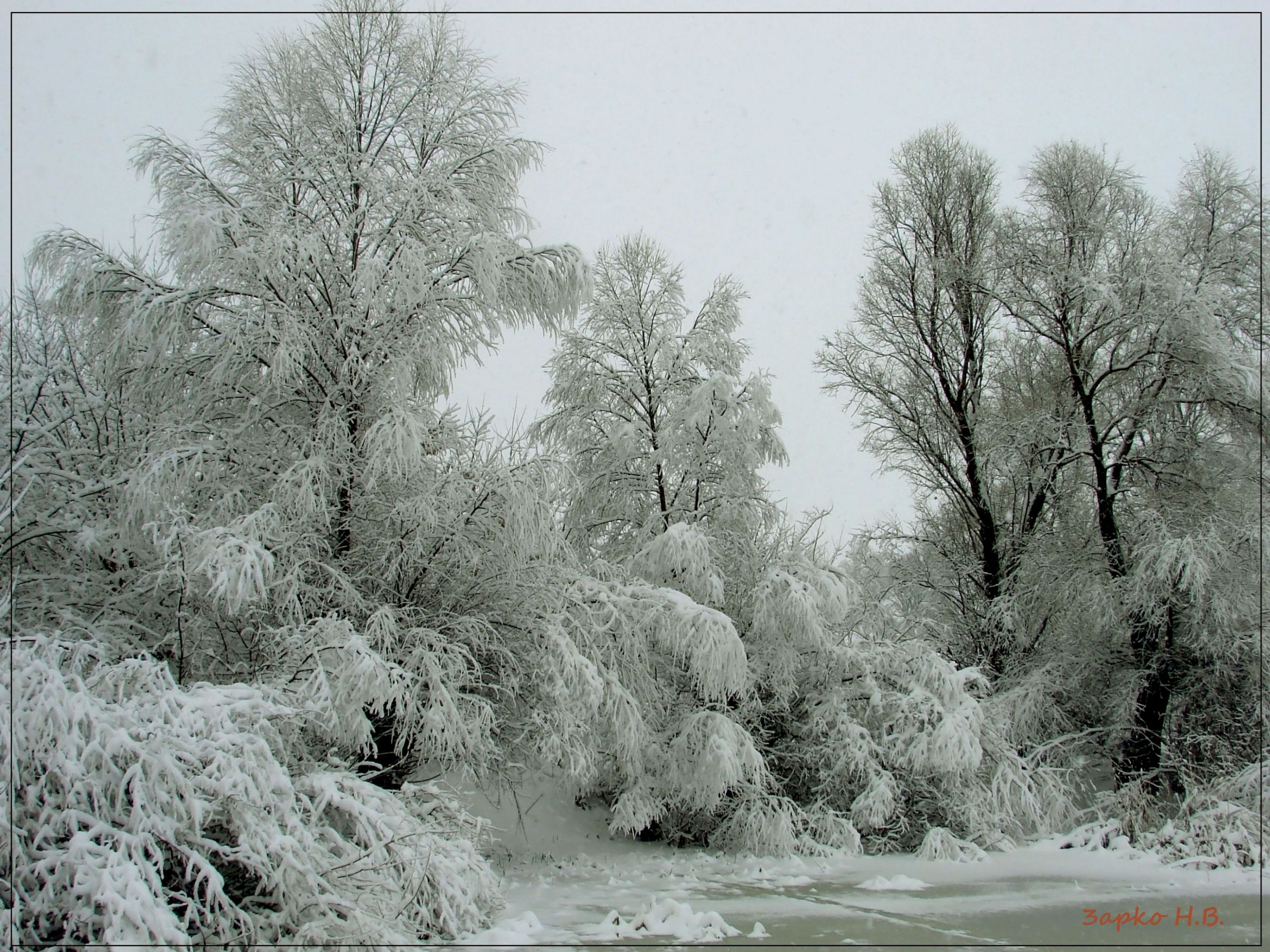 Winter  Ukraine