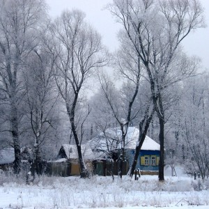 Winter rural landscape