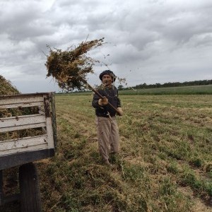 inbound2793717790619756910