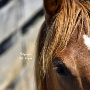 inbound6031353295820358295