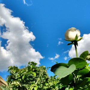 IMG_20201206_164052464_HDR