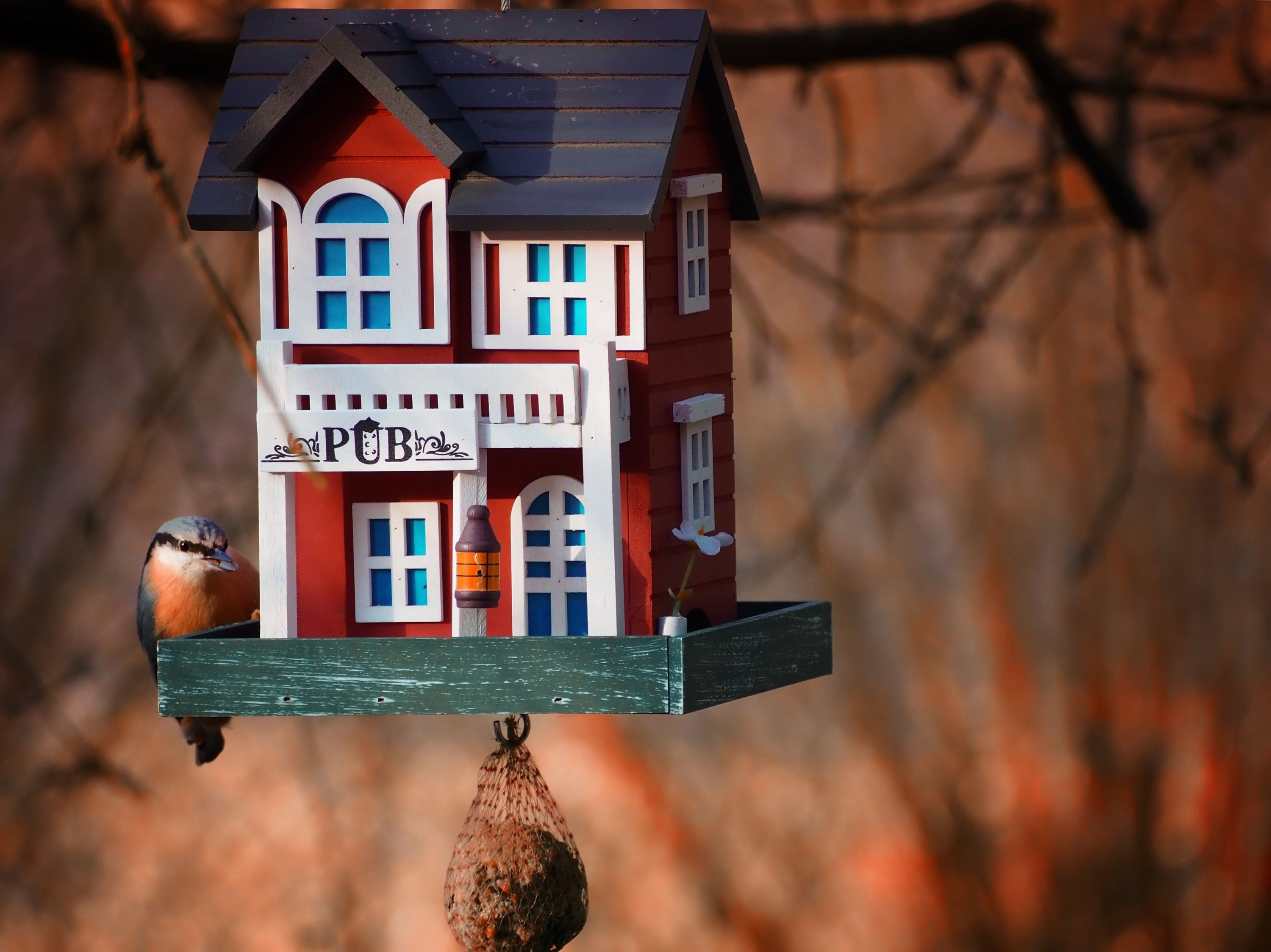 Brhlík lesní na dobré snídani