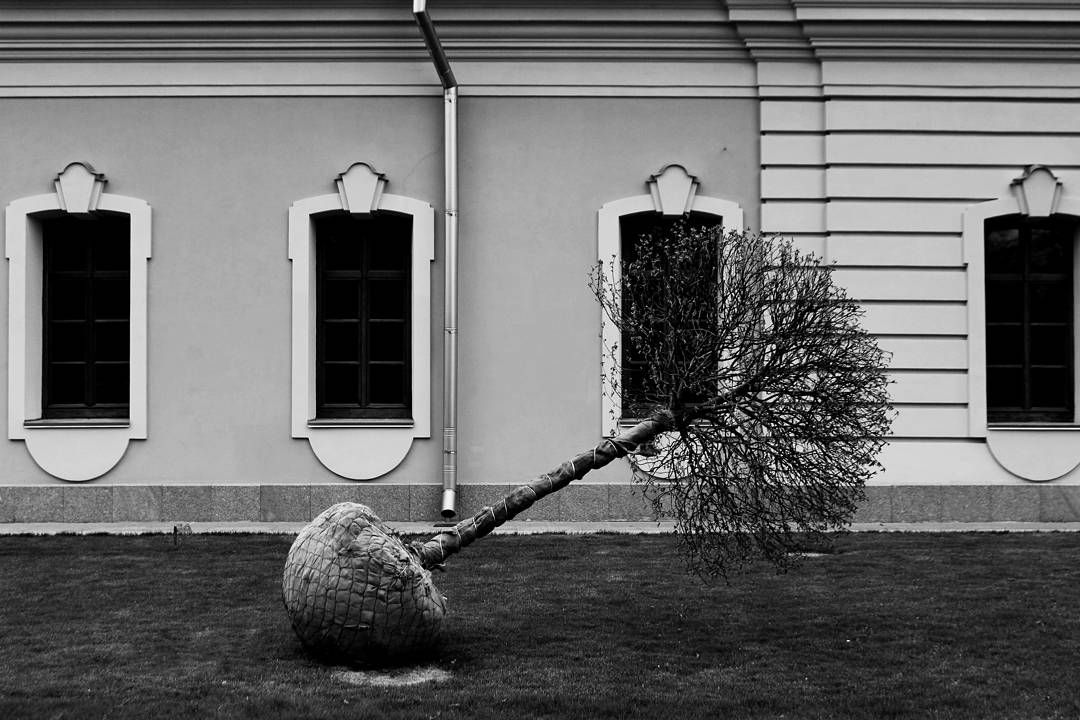 IMG_20170414_143121_543