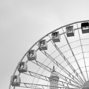 DSC_6336