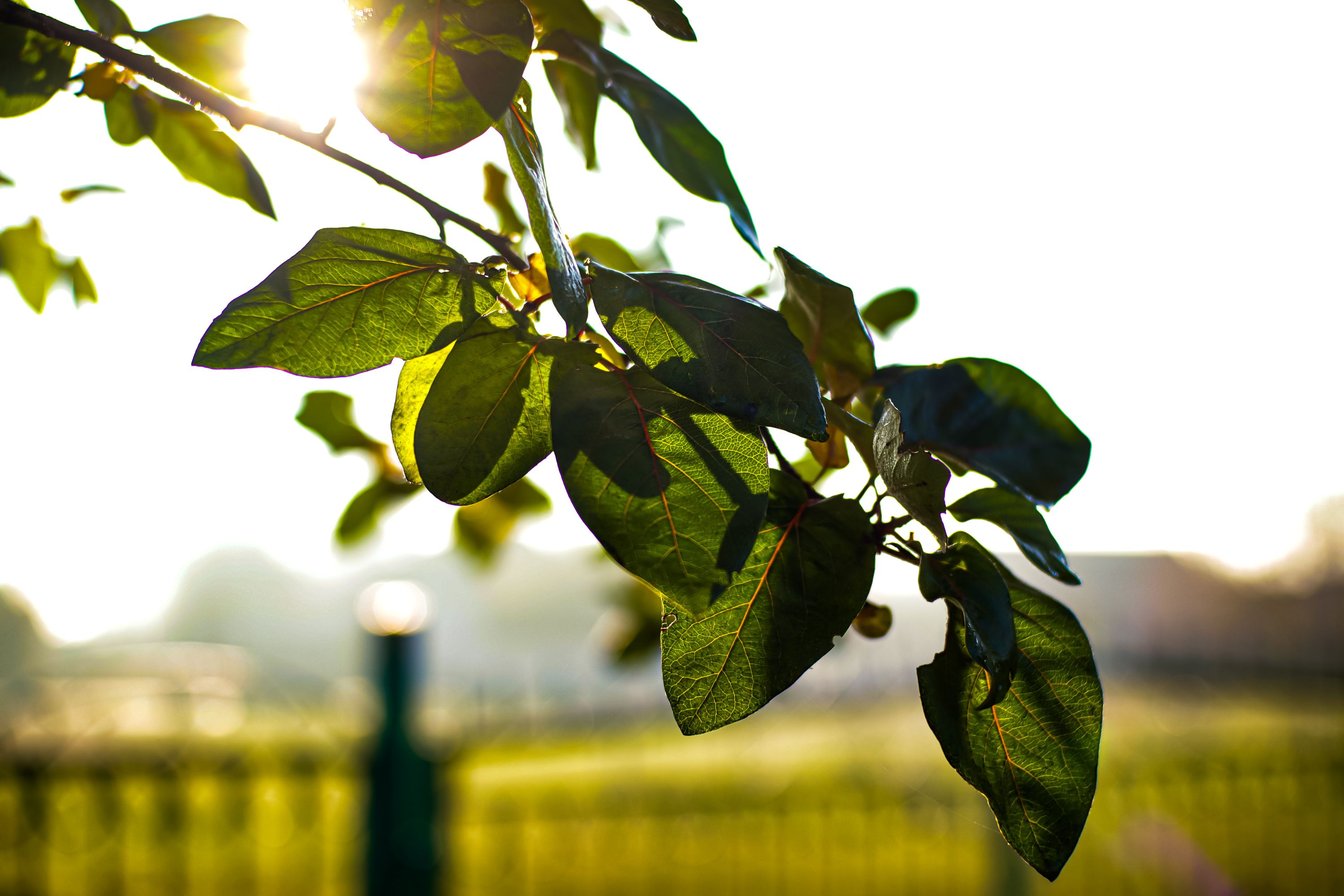 20201115091919_IMG_5601