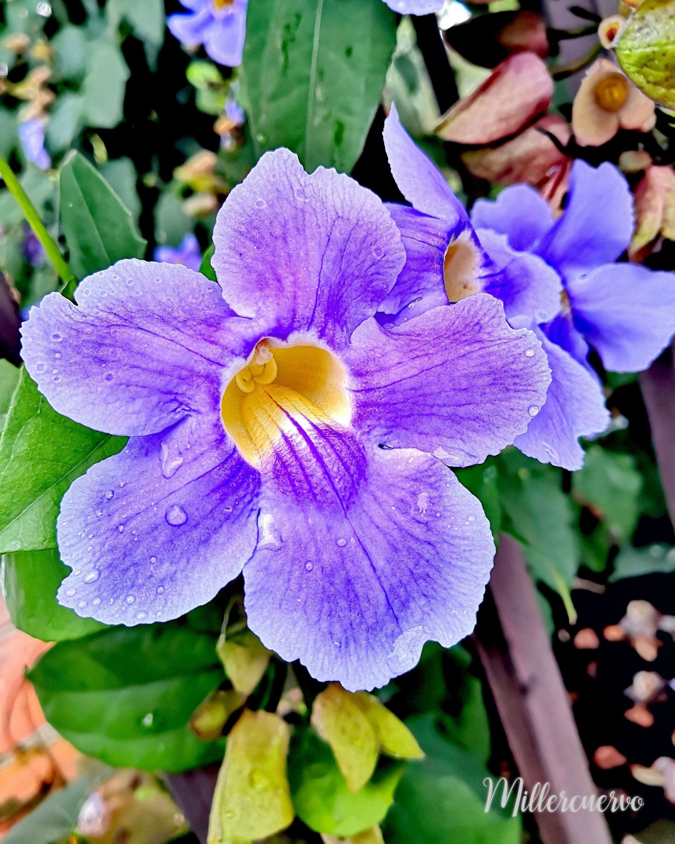 IMG_20200706_183928_432