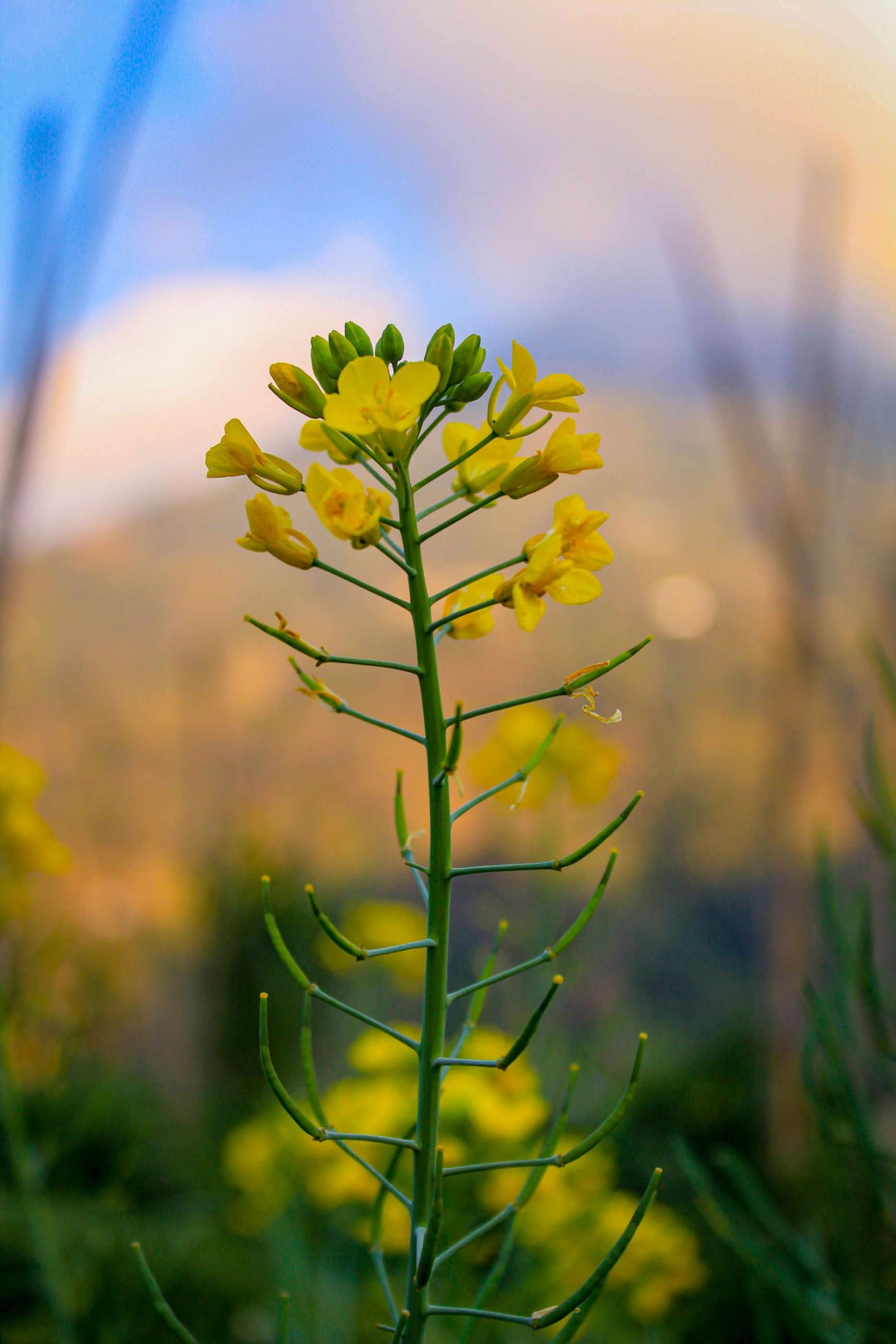 20210206171033_IMG_2868