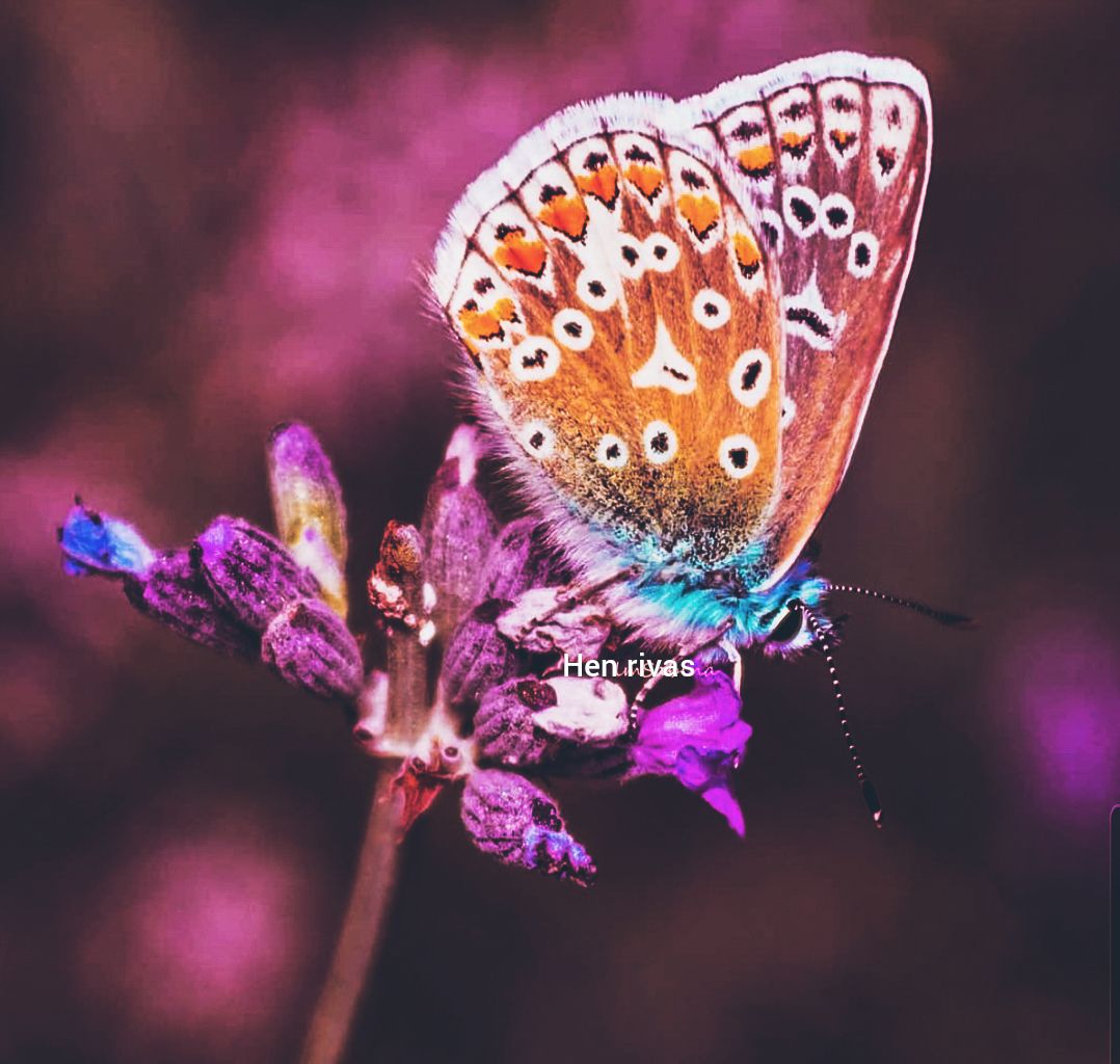 Nunca es tarde para ver la belleza de la naturaleza