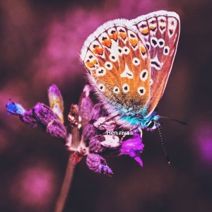 Nunca es tarde para ver la belleza de la naturaleza