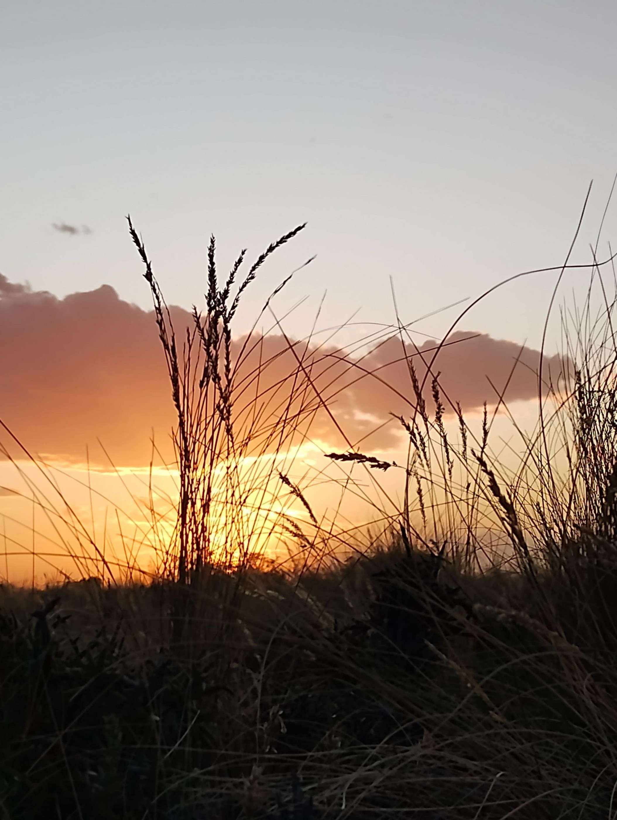 IMG_20221209_204328143