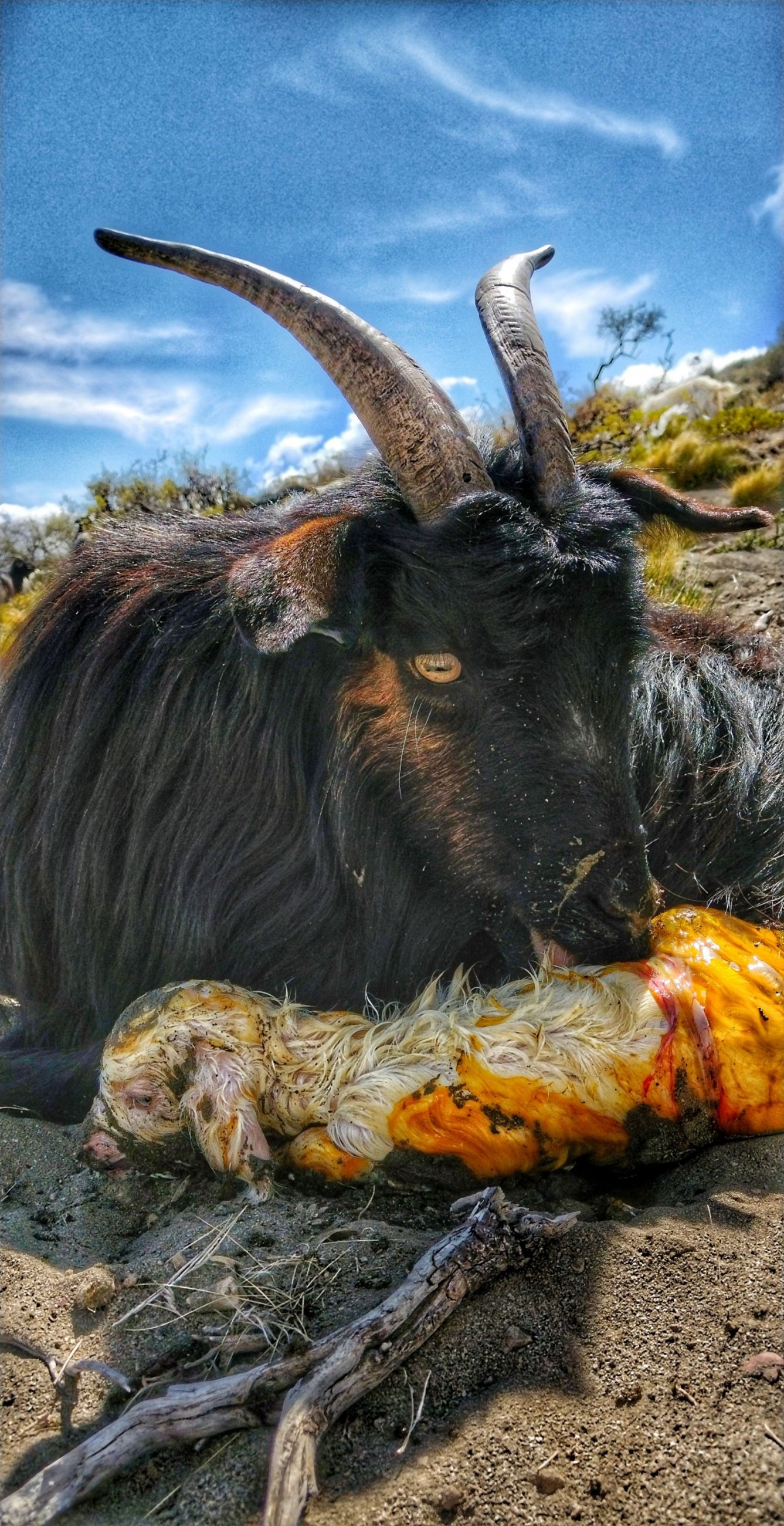 IMG_20220925_122619615-01