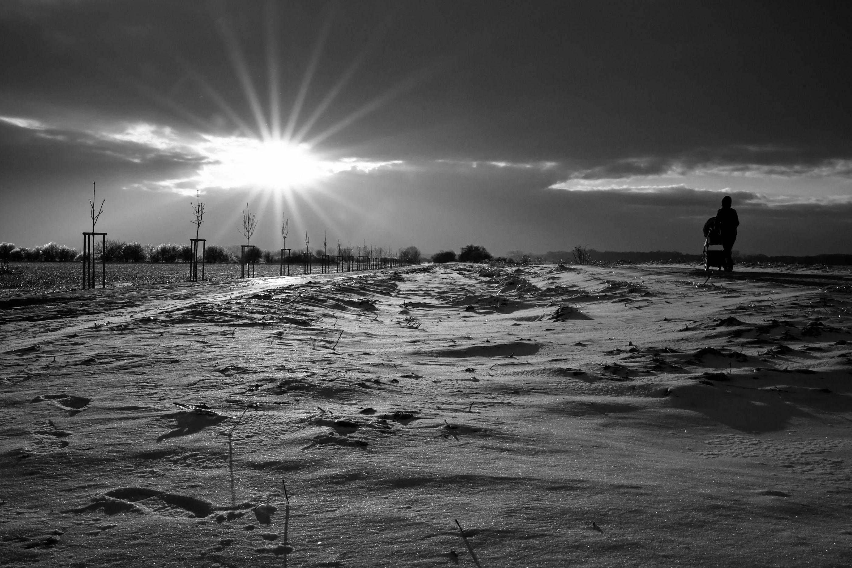 Frosty sunshine walk