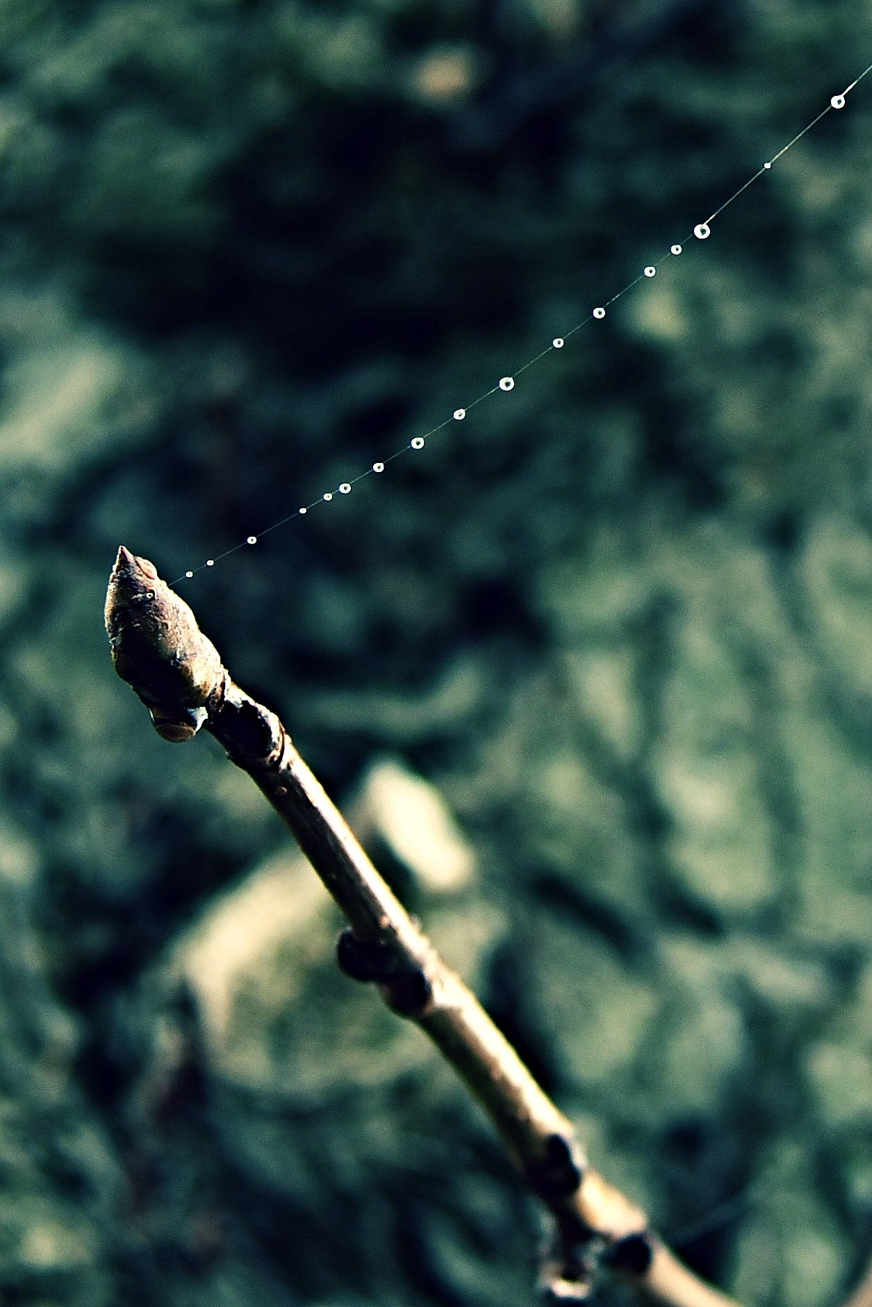 Connection