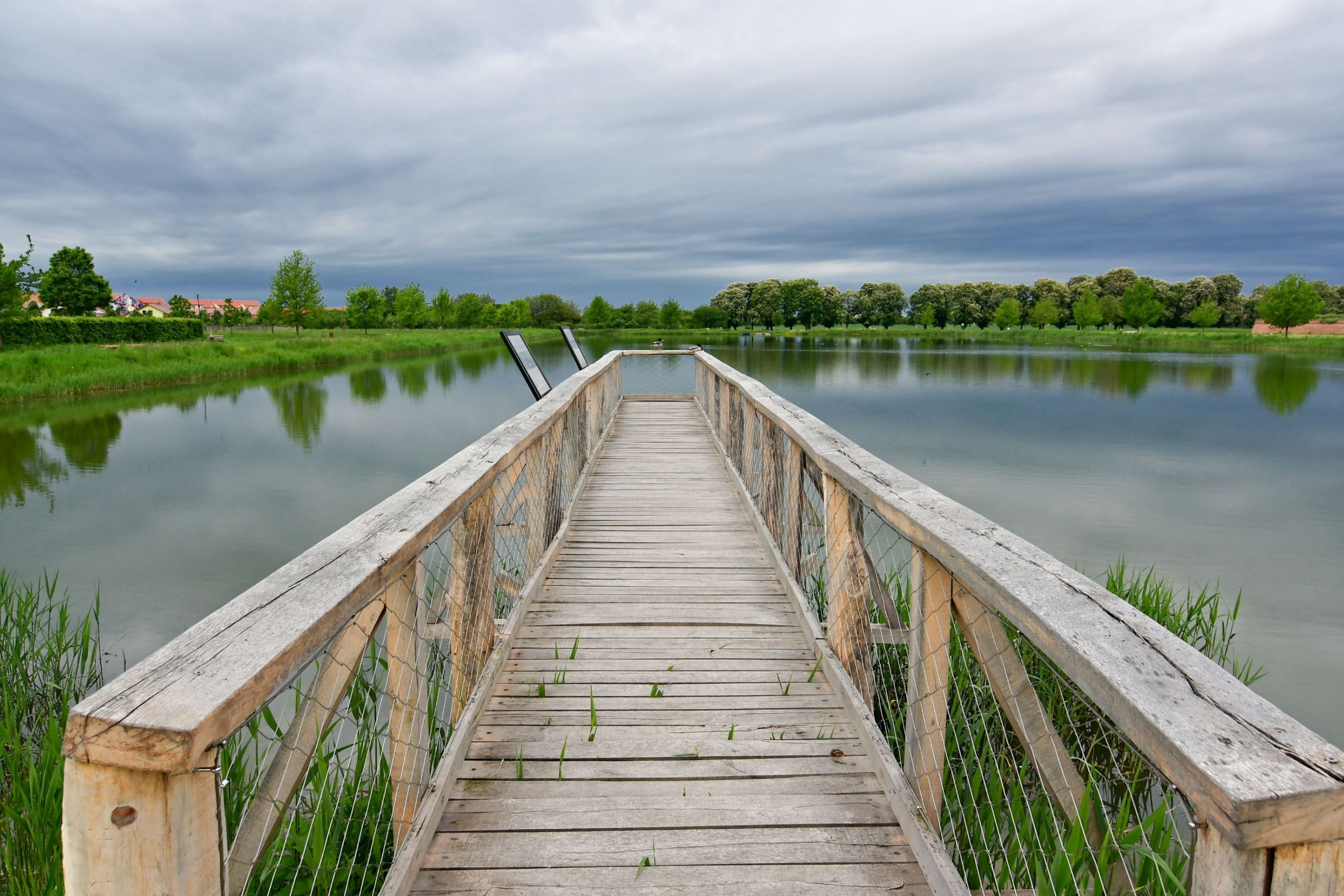 Path to lake