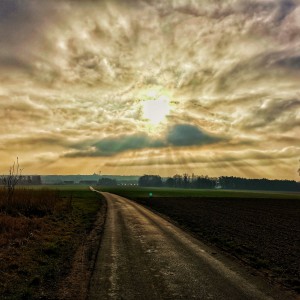 IMG_20201217_124913-01