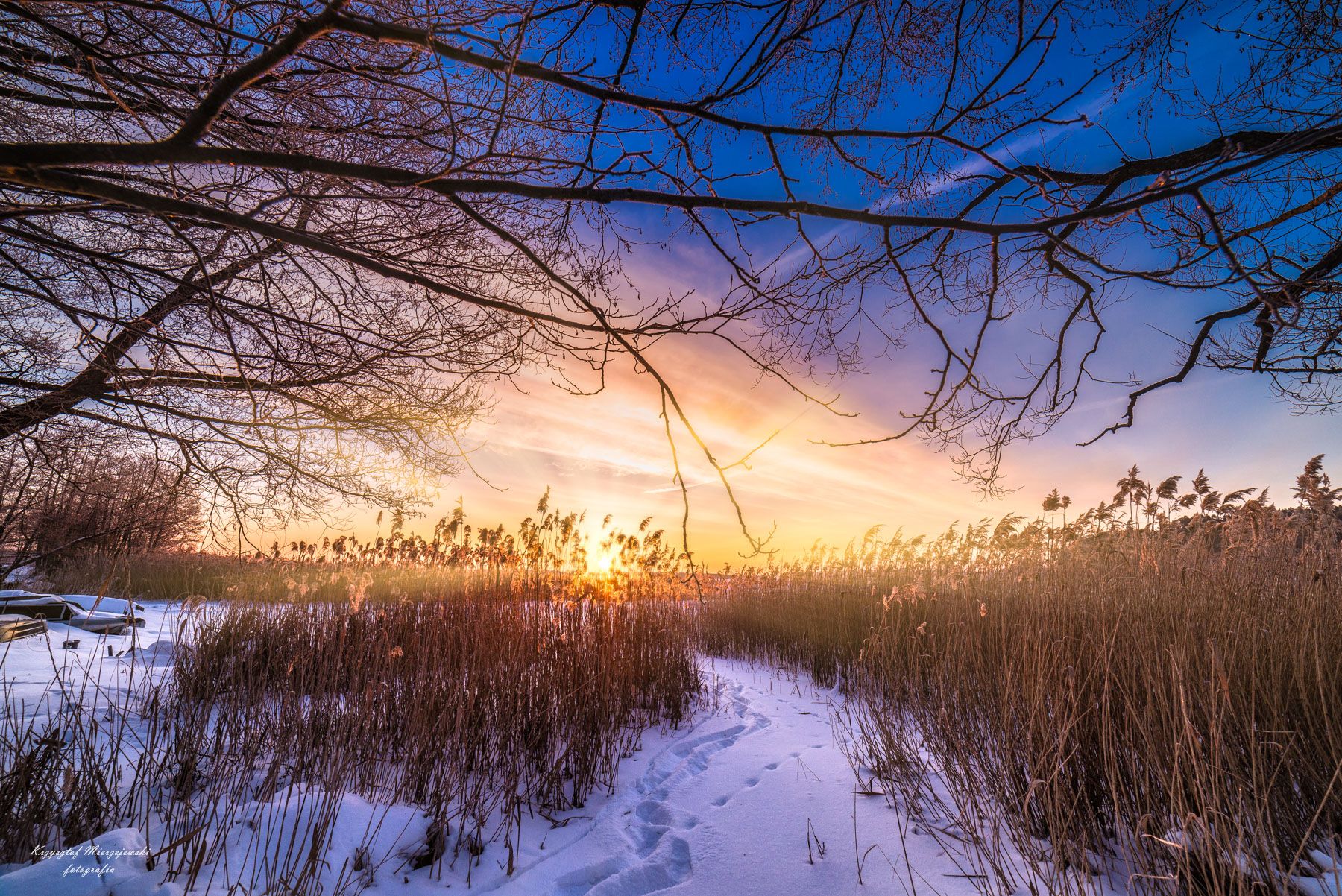 Frosty morning