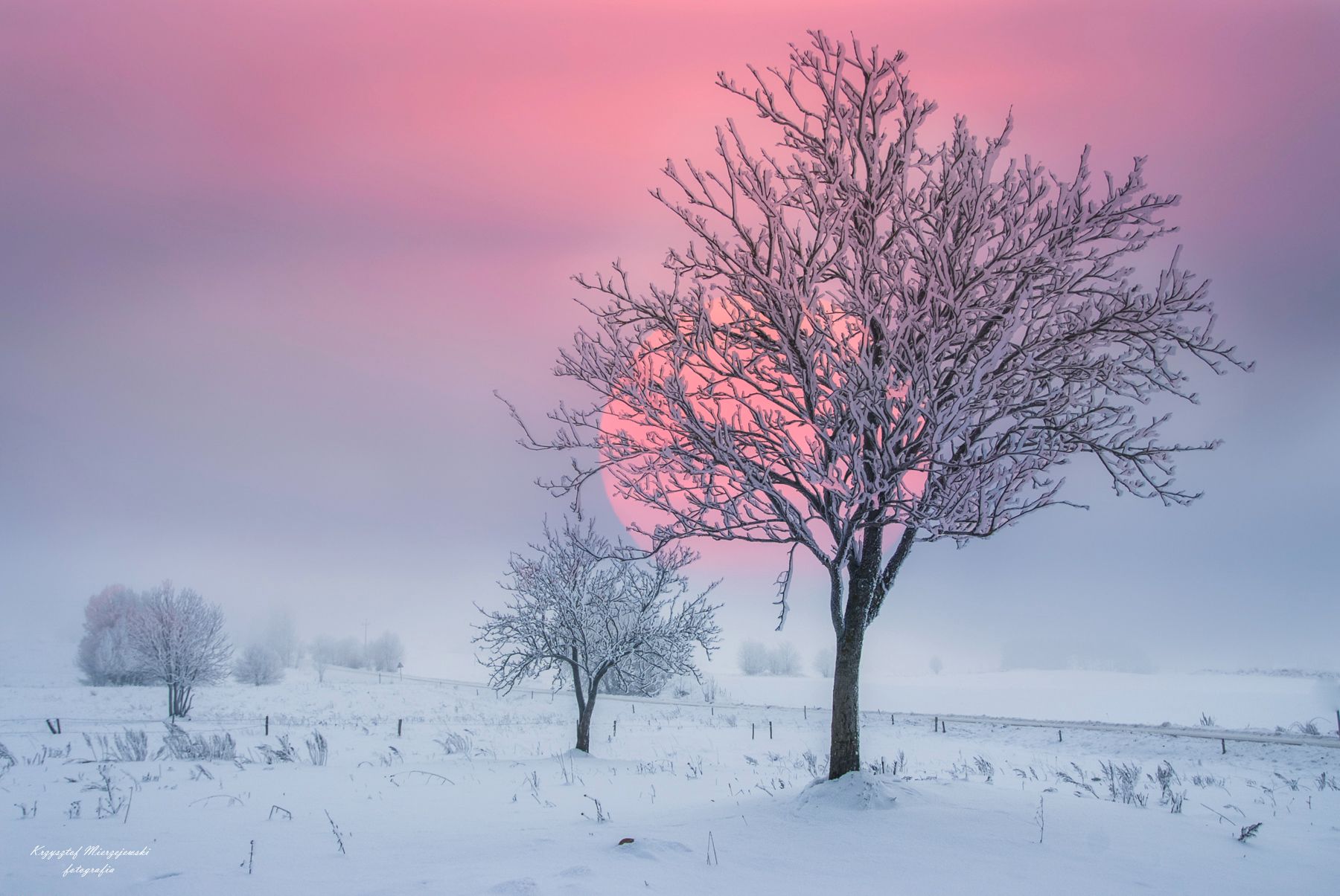 Frosty morning