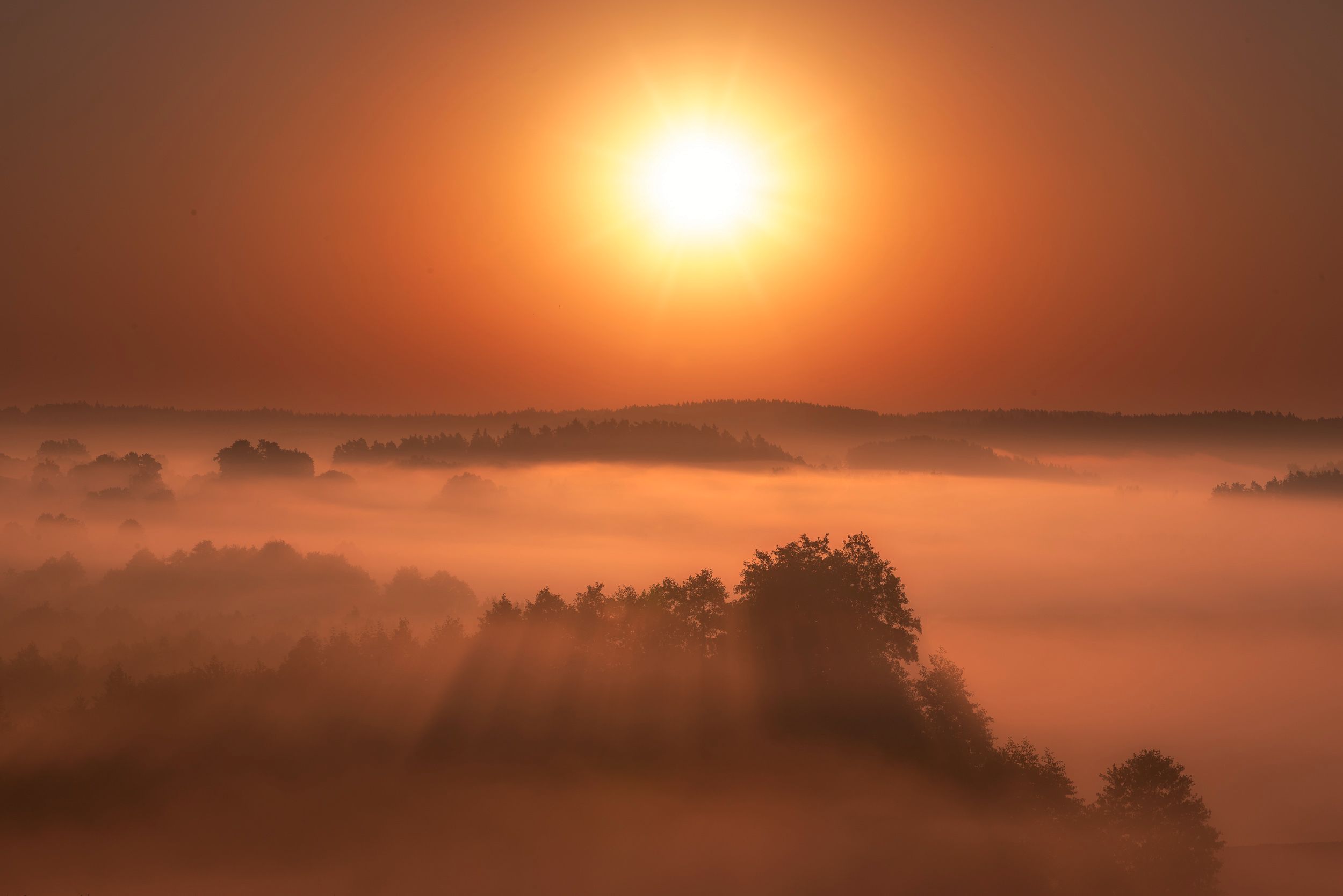 Foggy morning