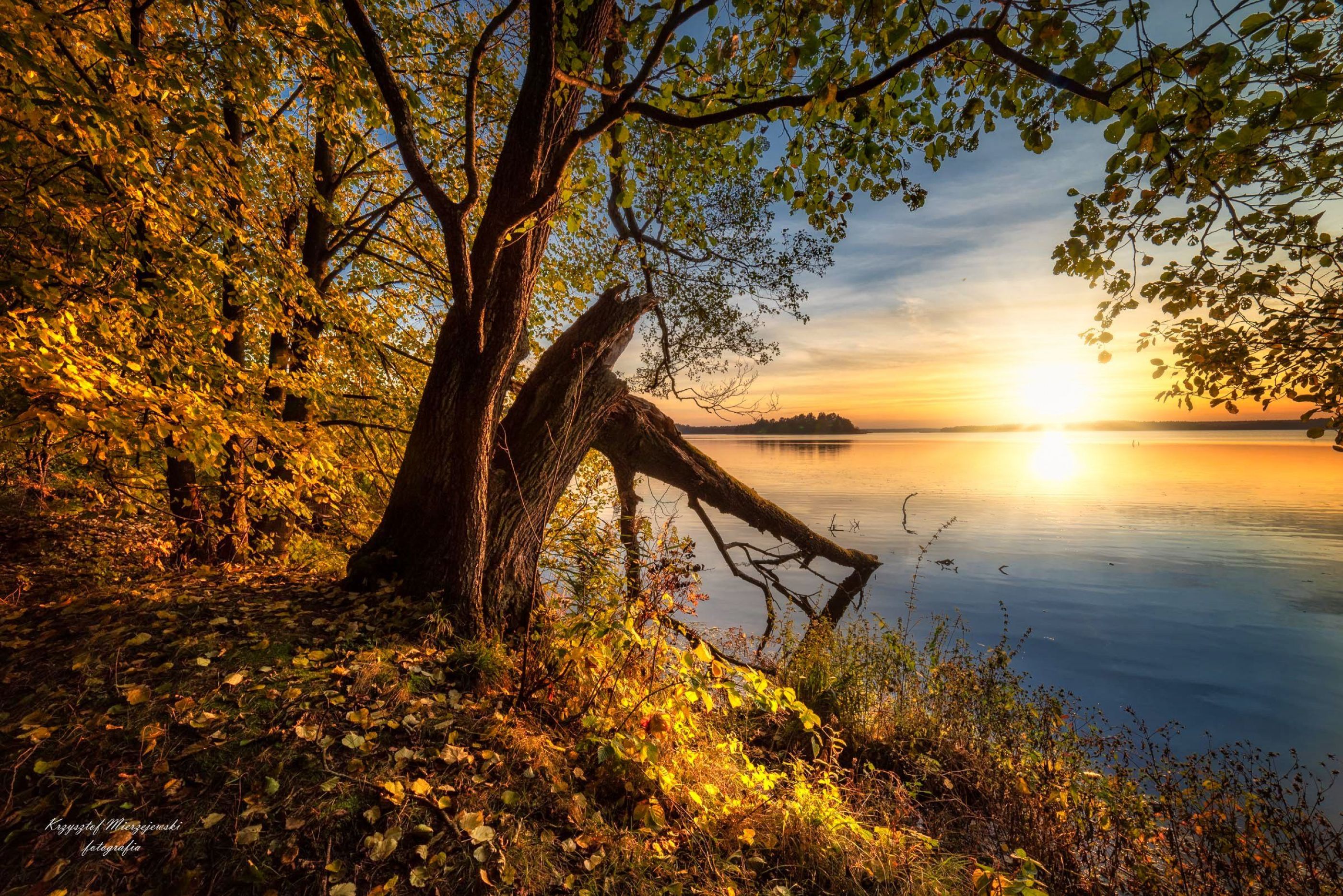 Autumn landscape