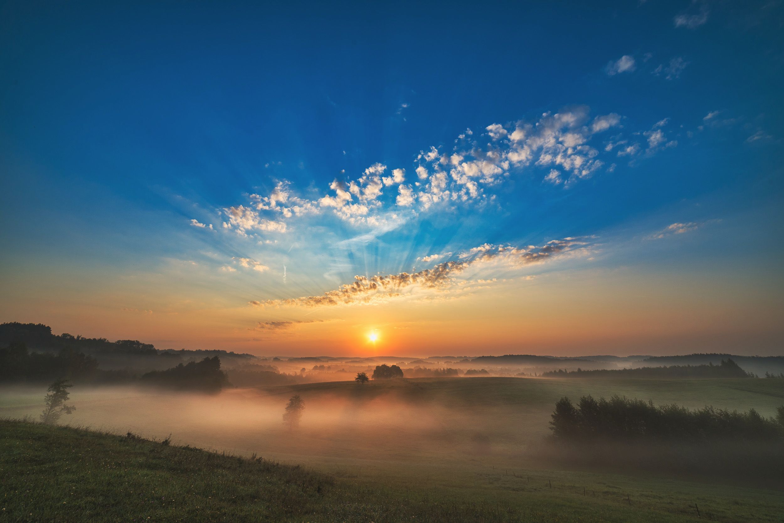 foggy morning