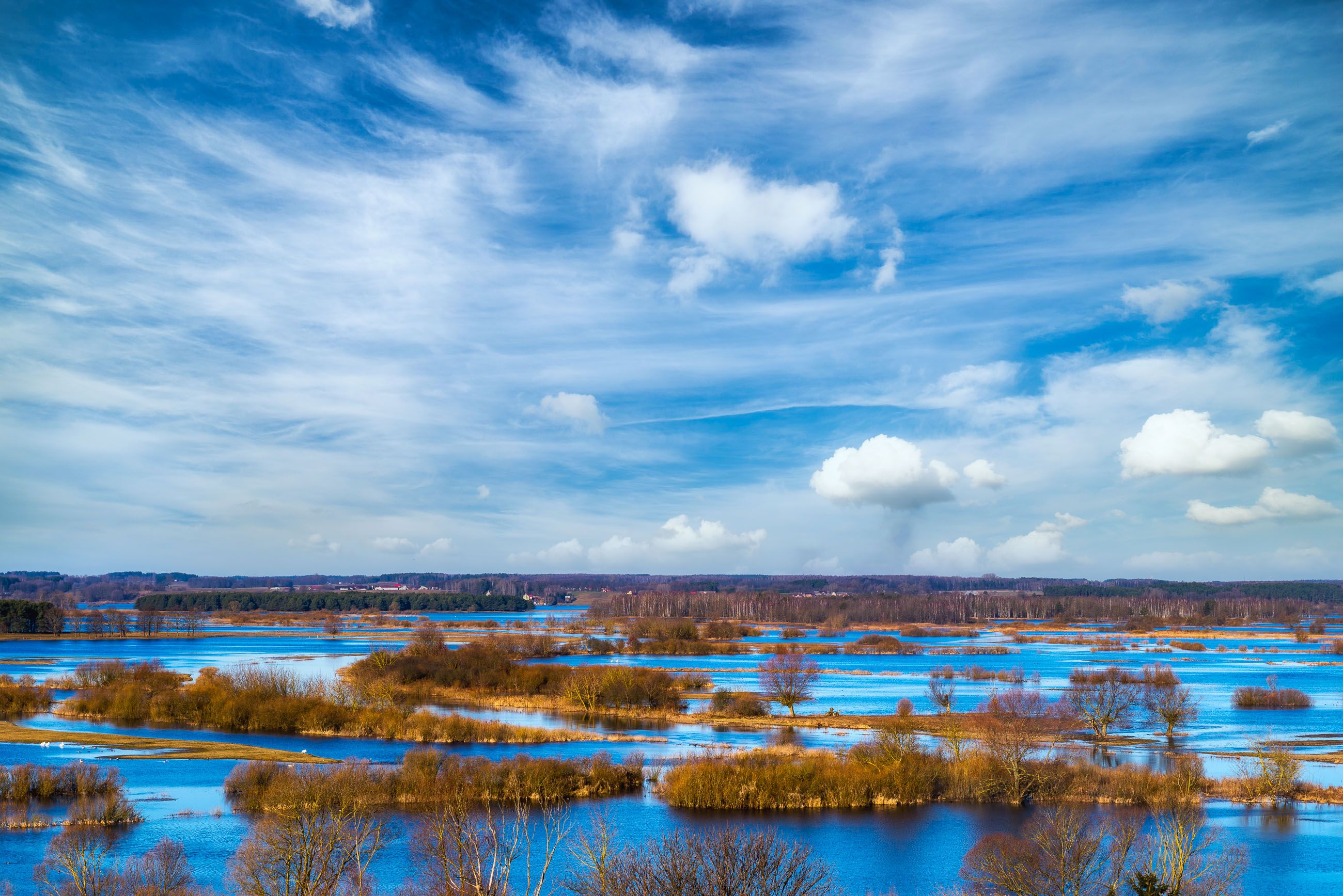 Spring backwater