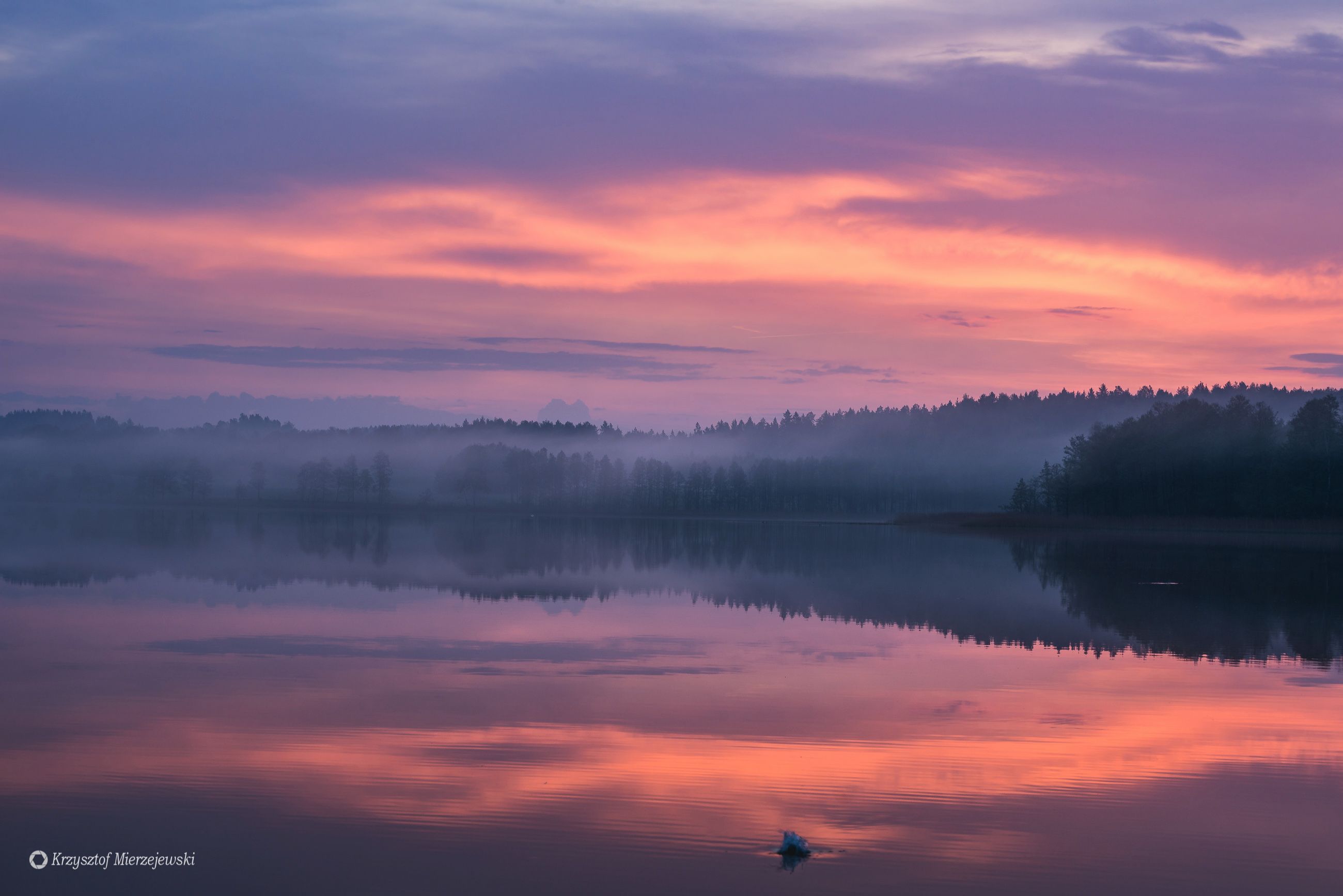 Foggy morning