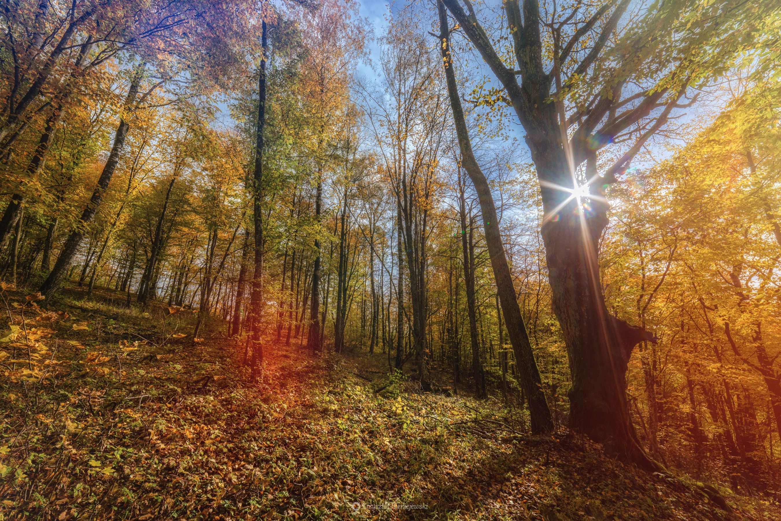 Autumn mood