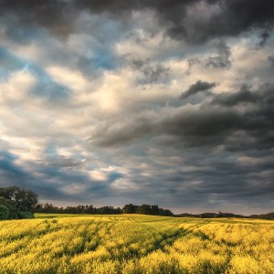 Landscape after the storm