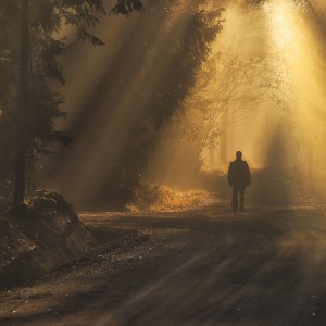 My Way