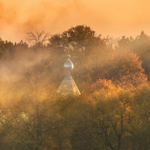 Foggy autumn