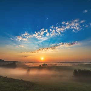 foggy morning