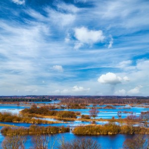 Spring backwater