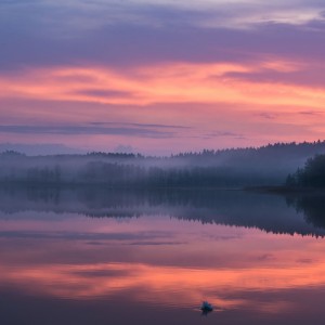 Foggy morning