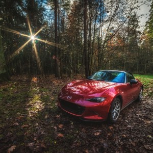 Car in the forest