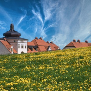 Spring Time