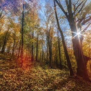 Autumn mood