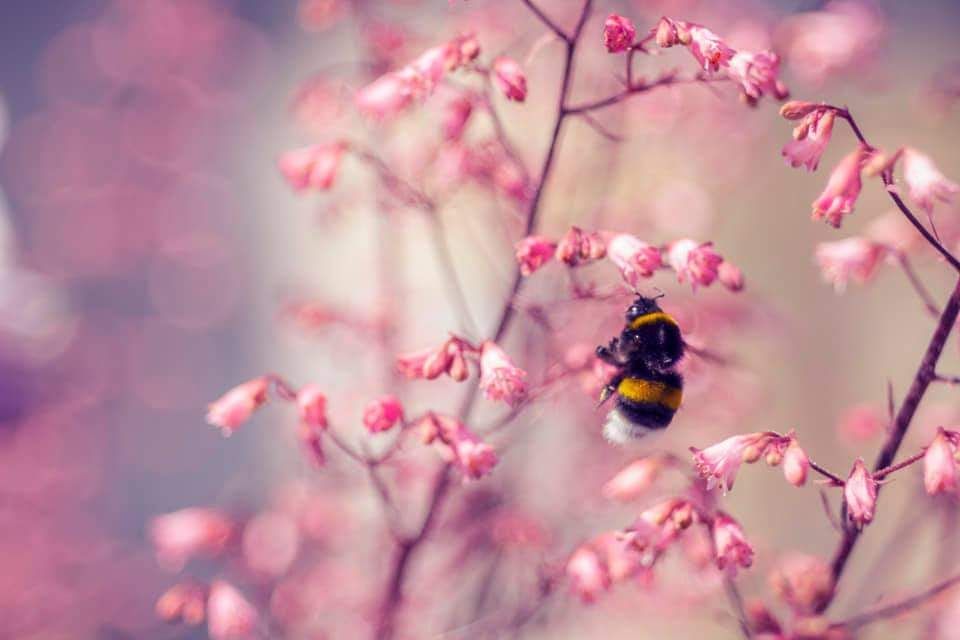 inbound2030100462988949945