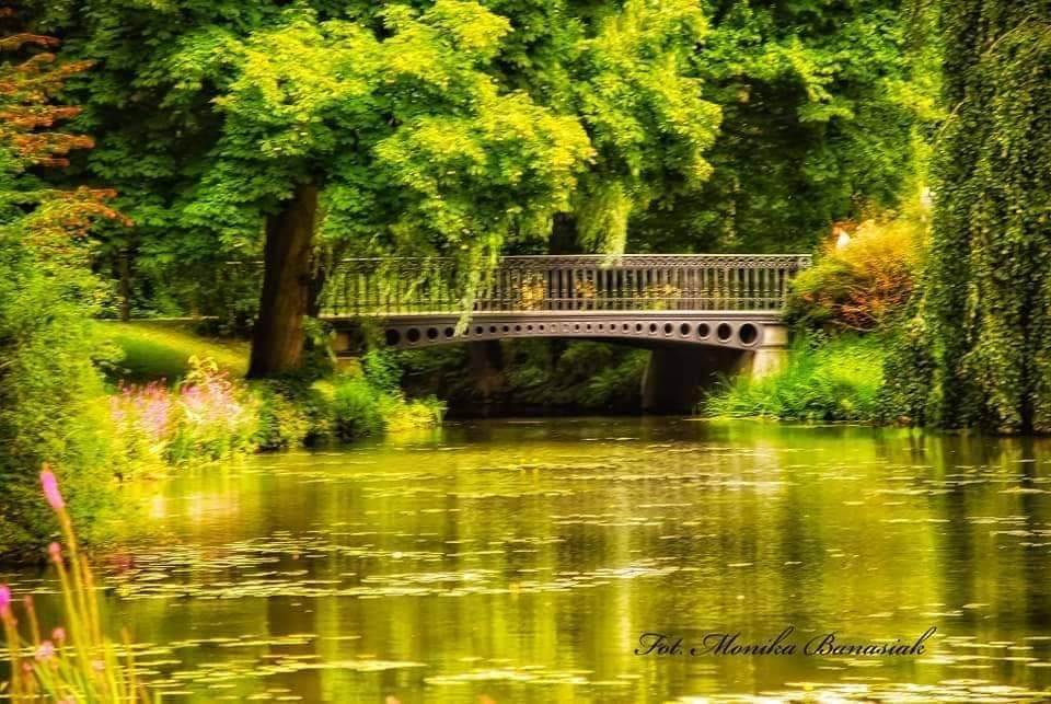 inbound2483269453143361933