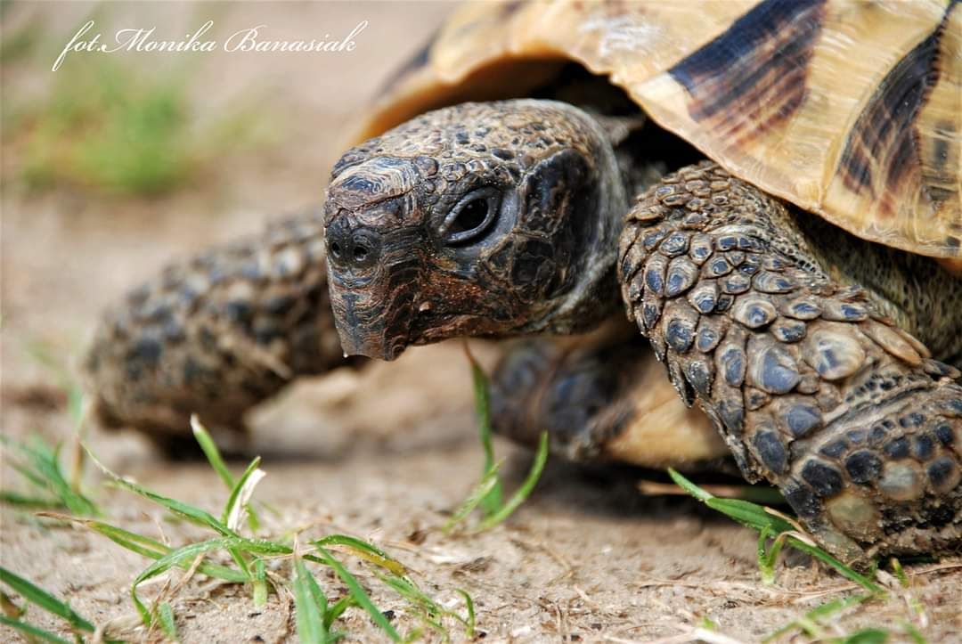 FB_IMG_1619983341684