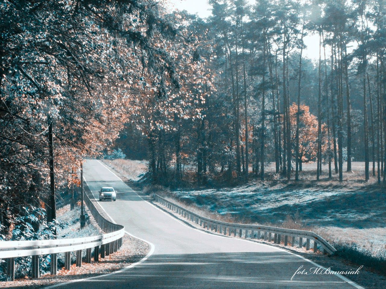 312564166_2115164462004390_2715391286671380001_n