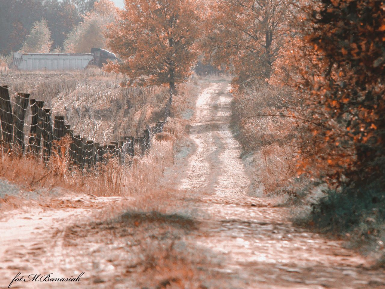 313304168_2120183541502482_1437696432295755888_n