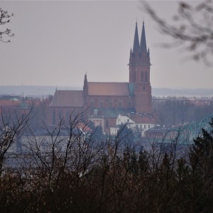 DSC00798