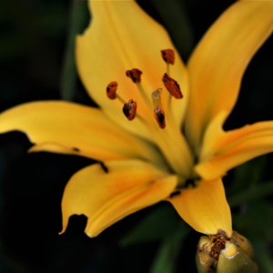 DSC02381