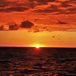 received_2284741805016139