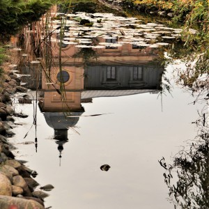 DSC00517