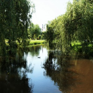 DSC04019
