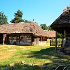 DSC04354